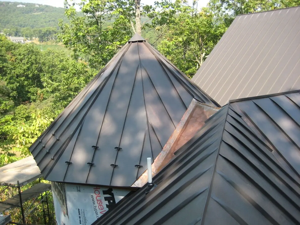 Professional Gutter Cleaning by Craftsman Roofing in Venice